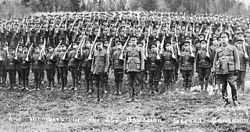 Canadian Expeditionary Force Canadian Expeditionary Force Wikipedia