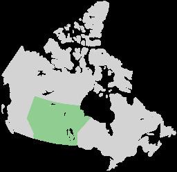 Canadian Prairies Canadian Prairies Wikipedia