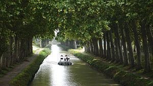 Canal du Midi httpsuploadwikimediaorgwikipediacommonsthu