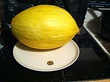 Canary melon httpsuploadwikimediaorgwikipediacommonsthu