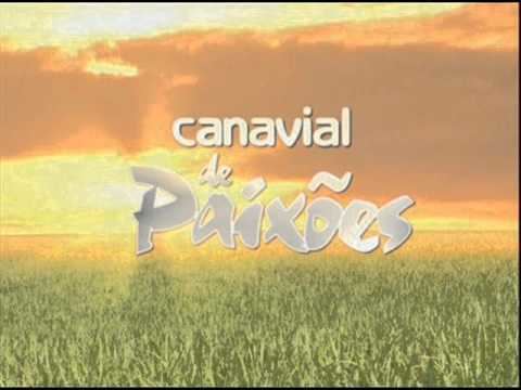 Canavial de Paixões canavial de paixesincndio no canavial YouTube