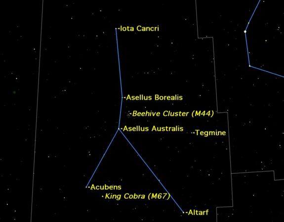 Cancer (constellation) Cancer Constellation Facts About the Crab
