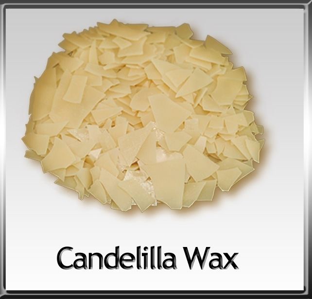 Candelilla wax Candelilla Wax