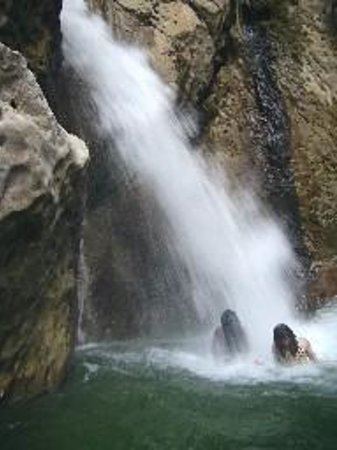 Cane River (Jamaica) Cane River Falls Jamaica Caribbean Top Tips Before You Go