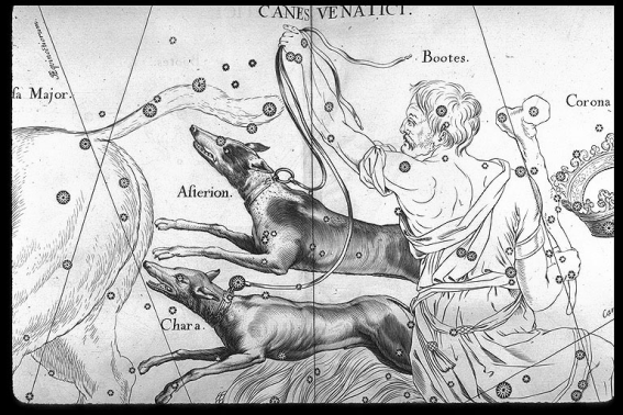 Canes Venatici The Canes Venatici Constellation Universe Today