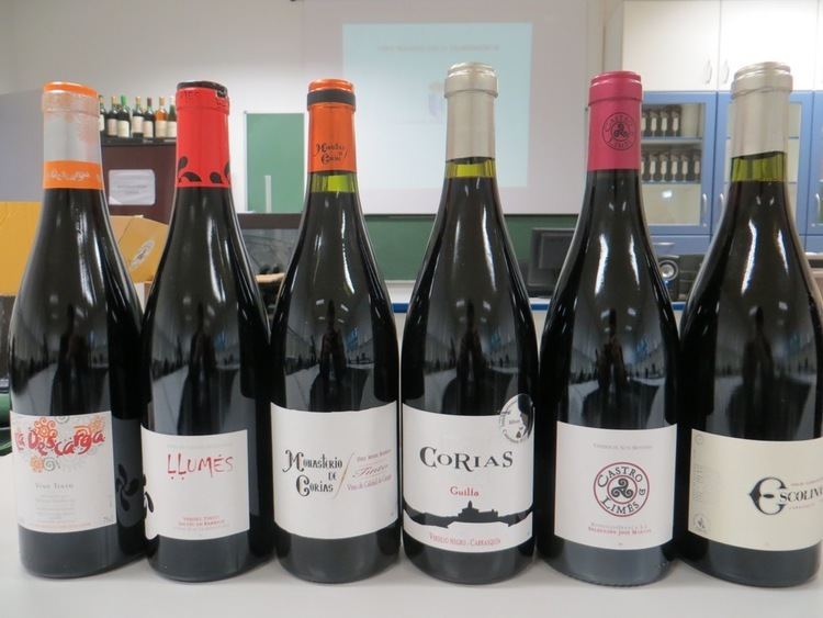 Cangas (Vino de la Tierra) Urbina Vinos Blog Cata de vinos de Asturias Vino de la Tierra de