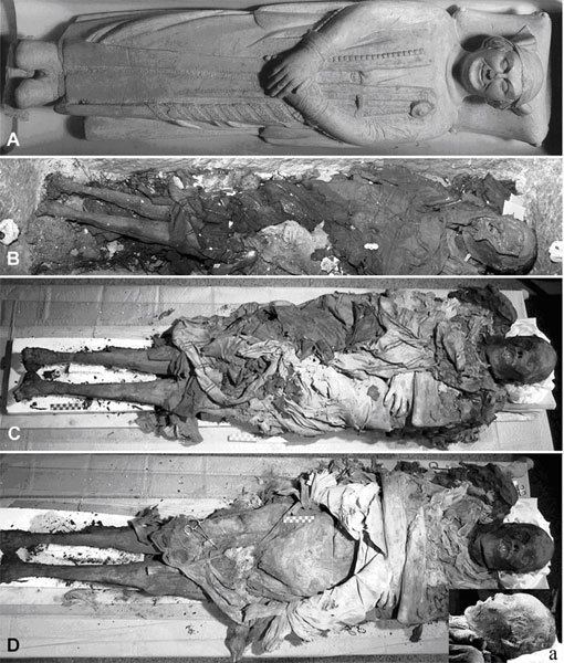 Cangrande I della Scala Cangrande della Scala La mummia di Cangrande della Scala