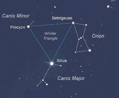 Canis Minor Star Constellation Facts Canis Minor the Smaller Dog