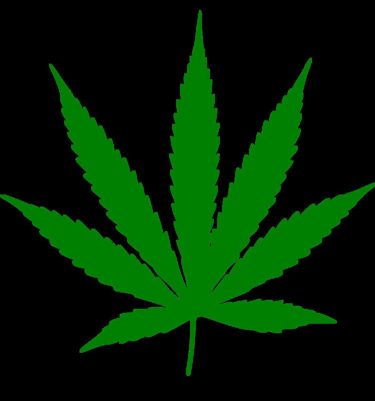 Cannabis consumption