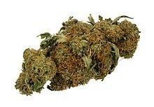 Cannabis (drug) Cannabis Wikipedia