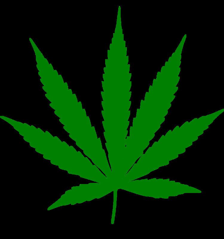 Cannabis in Malawi - Alchetron, The Free Social Encyclopedia