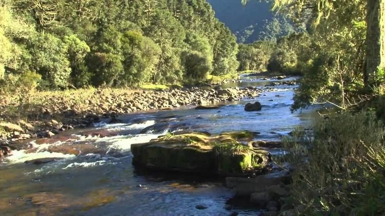 Canoas River (Santa Catarina) httpsiytimgcomvitwTIHokBMEYmaxresdefaultjpg