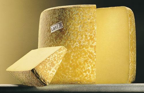 Cantal cheese Cantal Jeune 69 Months Cheese 250g Deliciously French