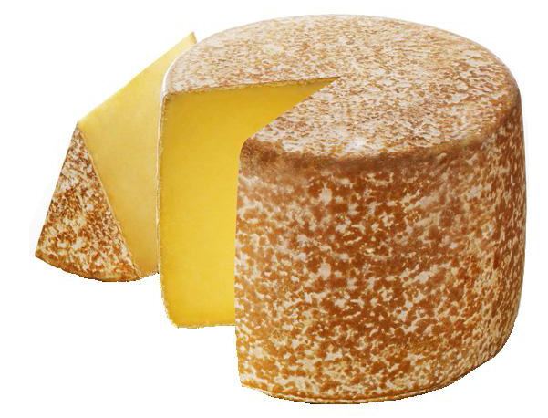 Cantal cheese wwwfrenchcheeseclubcomwpcontentuploadscantal