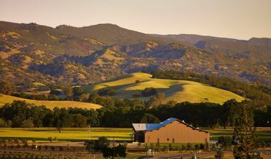 Capay Valley Seka Hills Olive Mill Capay Valley Farm Shop