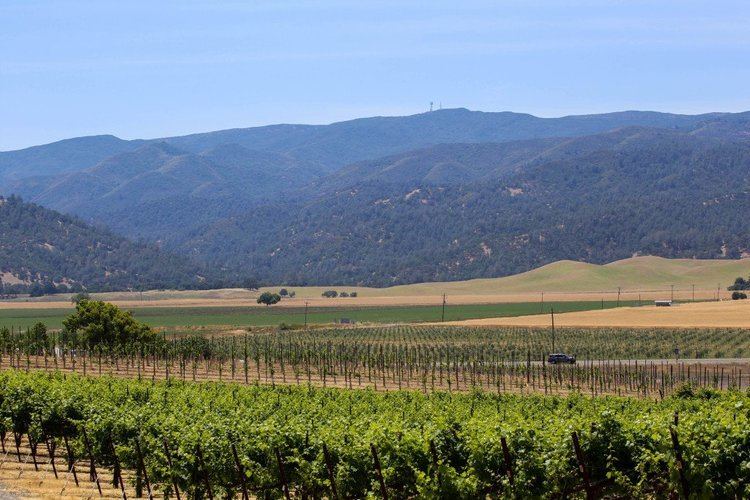 Capay Valley Capay Valley tour will benefit Yolo Basin Foundation
