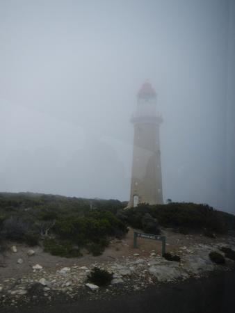 Cape du Couedic Lighthouse Cape du Couedic Lighthouse Picture of Cape du Couedic Lighthouse