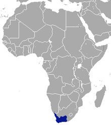 Cape elephant shrew httpsuploadwikimediaorgwikipediacommonsthu
