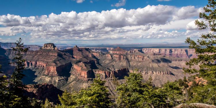 Cape Final Trail Cape Final Trail Grand Canyon National Park hiking in Arizona