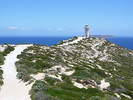 Cape Spencer (South Australia) httpsuploadwikimediaorgwikipediacommonsthu