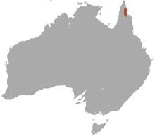 Cape York rock-wallaby httpsuploadwikimediaorgwikipediacommonsthu