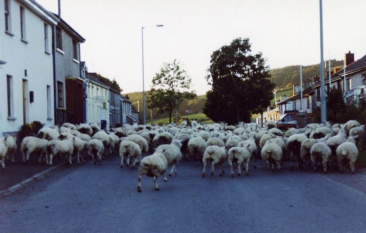 Cappagh, County Tyrone