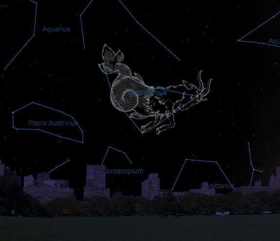 Capricornus Capricornus Constellation Facts About the Sea Goat