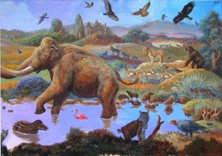 Capromeryx minor The San Diego Zoo Murals Part Twenty Nine William Stout39s Journal