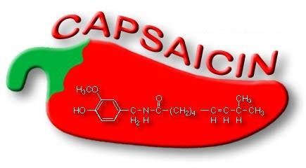 Capsaicin Capsaicin by Allen and Krista on Prezi