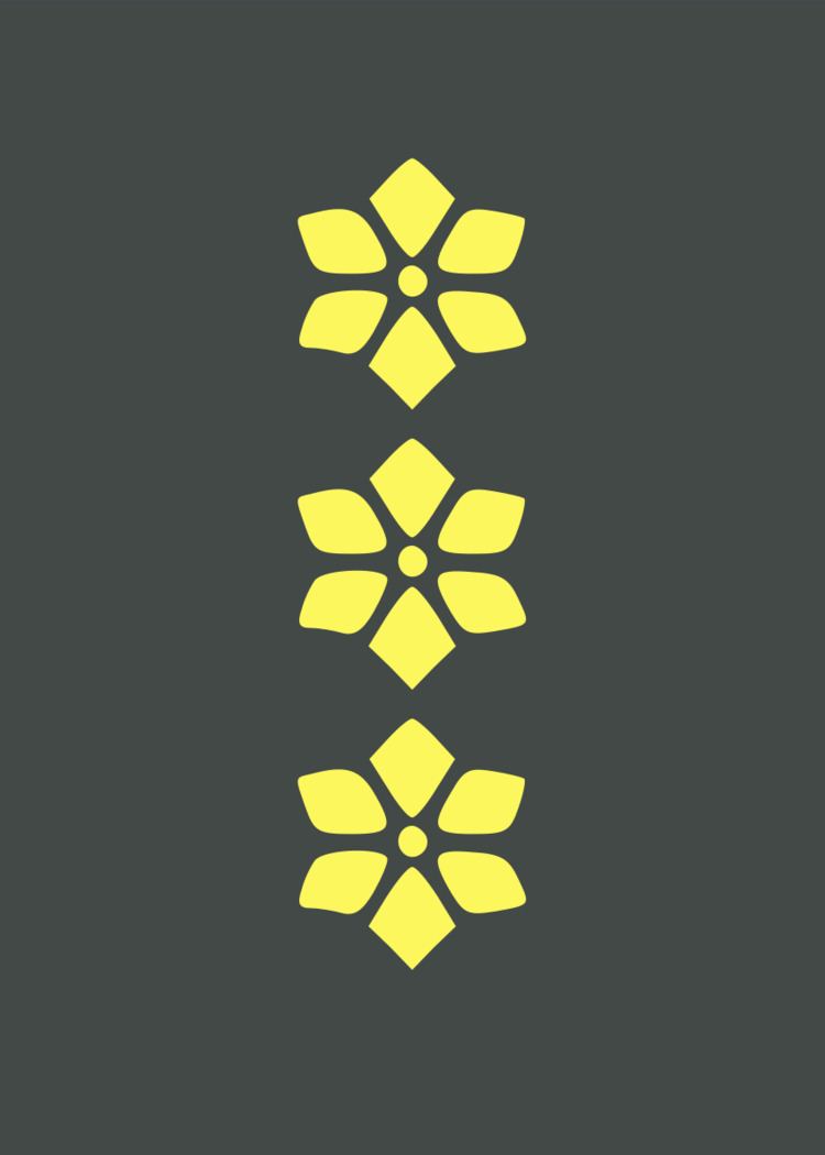 Captain (armed forces)