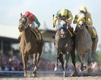 Captain Bodgit Captain Bodgit Thoroughbred Greats