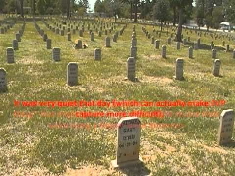 Captain Joe Byrd Cemetery Investigation at Captain Joe Byrd Prison Cemetery Location of Henry