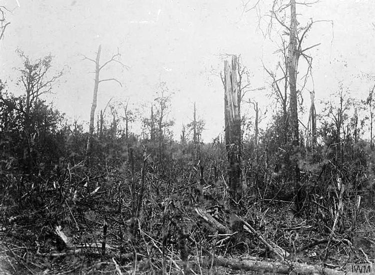 Capture of Trônes Wood Somme Battle for Trones Wood Great War Stories