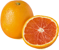 Cara cara navel sunwestfruitcomimagesCara20Cara20Navelpng