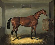 Caractacus (horse) httpsuploadwikimediaorgwikipediacommonsthu