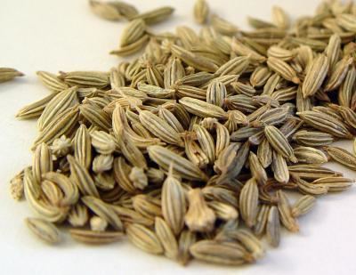 Caraway Are caraway seeds and fennel seeds the same Seasoned Advice