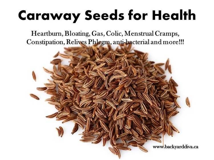 Caraway Caraway Seeds for Health Backyard Diva