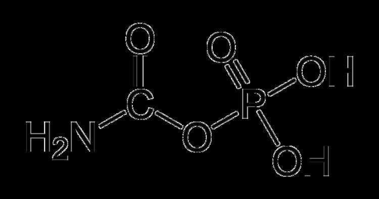 Carbamoyl phosphate FileCarbamoylphosphatepng Wikimedia Commons