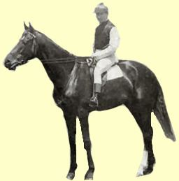 Carbine (horse) Carbine Horse Profile Champion Race Horses Race Rate