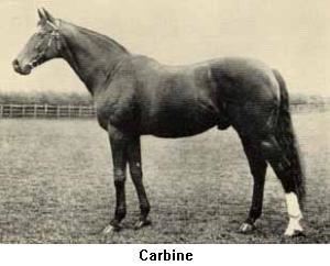 Carbine (horse) 1000 images about Trace the Bloodline on Pinterest Gold diggers