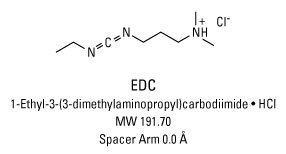 Carbodiimide Carbodiimide Crosslinker Chemistry Thermo Fisher Scientific