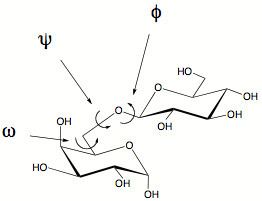 Carbohydrate conformation
