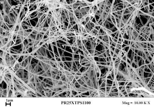 Carbon nanofiber