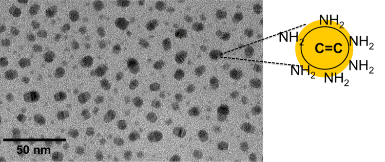 Carbon quantum dots httpstitiricigroupfileswordpresscom201312