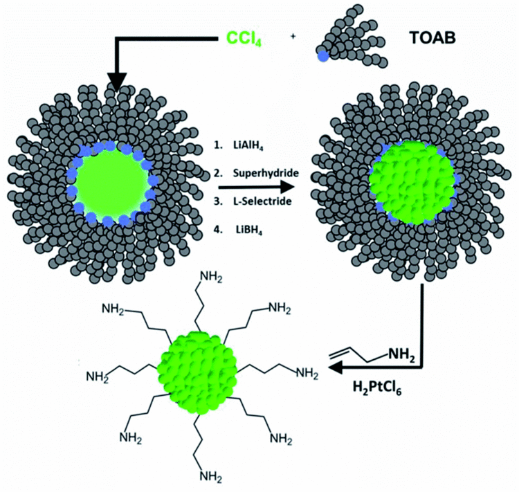 Carbon quantum dots Size controlled synthesis of carbon quantum dots using hydride