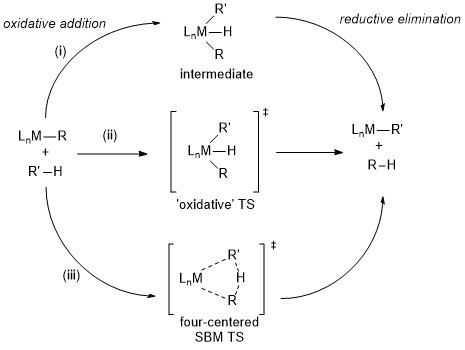 Carbon–hydrogen bond activation