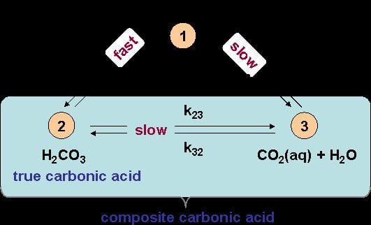 Carbonic acid Kinetics of the Carbonic Acid System