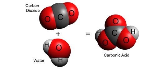 Carbonic acid FileCarbonicAcidjpg Wikimedia Commons