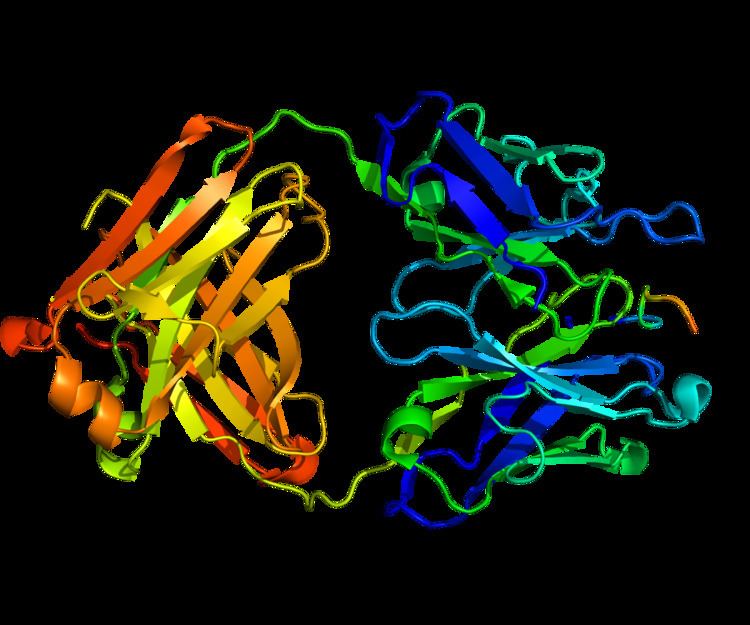 Carbonic anhydrase 9 - Alchetron, The Free Social Encyclopedia