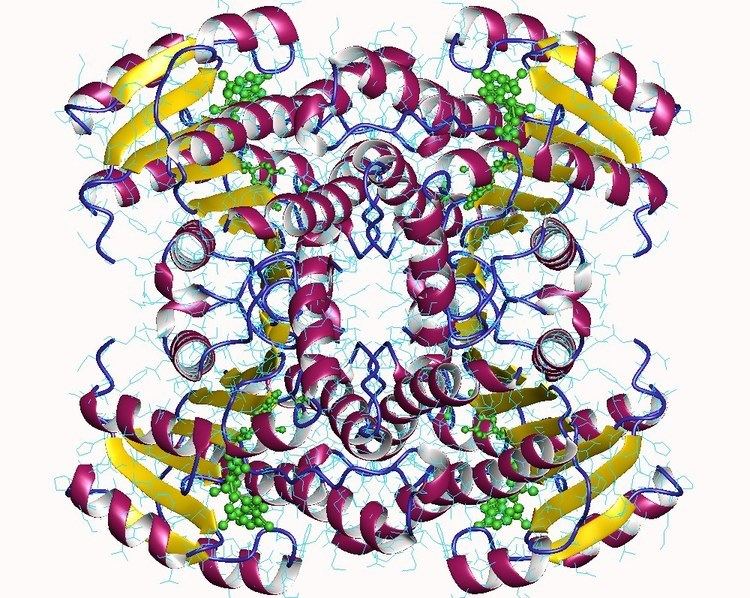 Carbonyl reductase (NADPH)